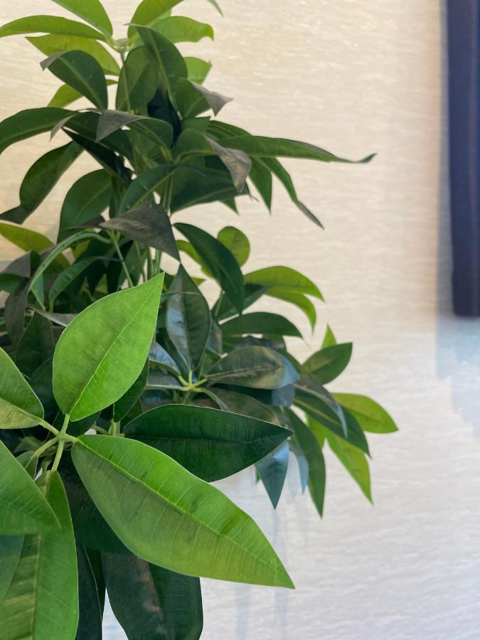 Niseko Hotel Kiraku Kou 外观 照片